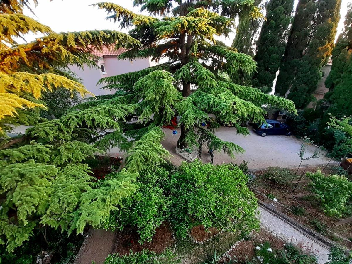 Villa Libe Baška Voda المظهر الخارجي الصورة