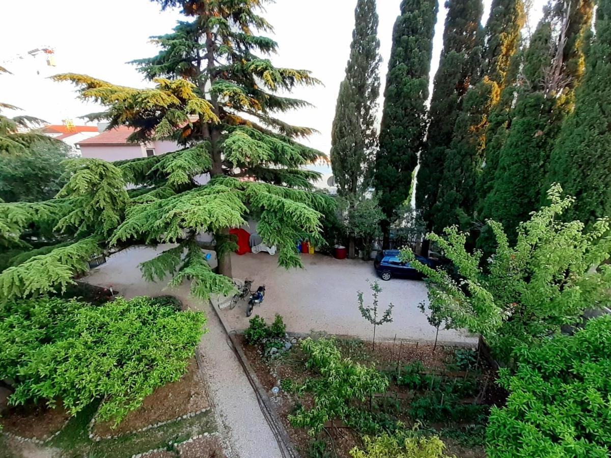 Villa Libe Baška Voda المظهر الخارجي الصورة