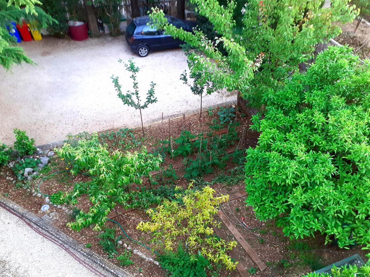 Villa Libe Baška Voda المظهر الخارجي الصورة
