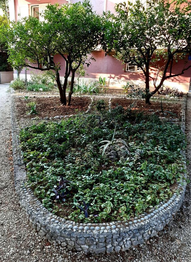 Villa Libe Baška Voda المظهر الخارجي الصورة