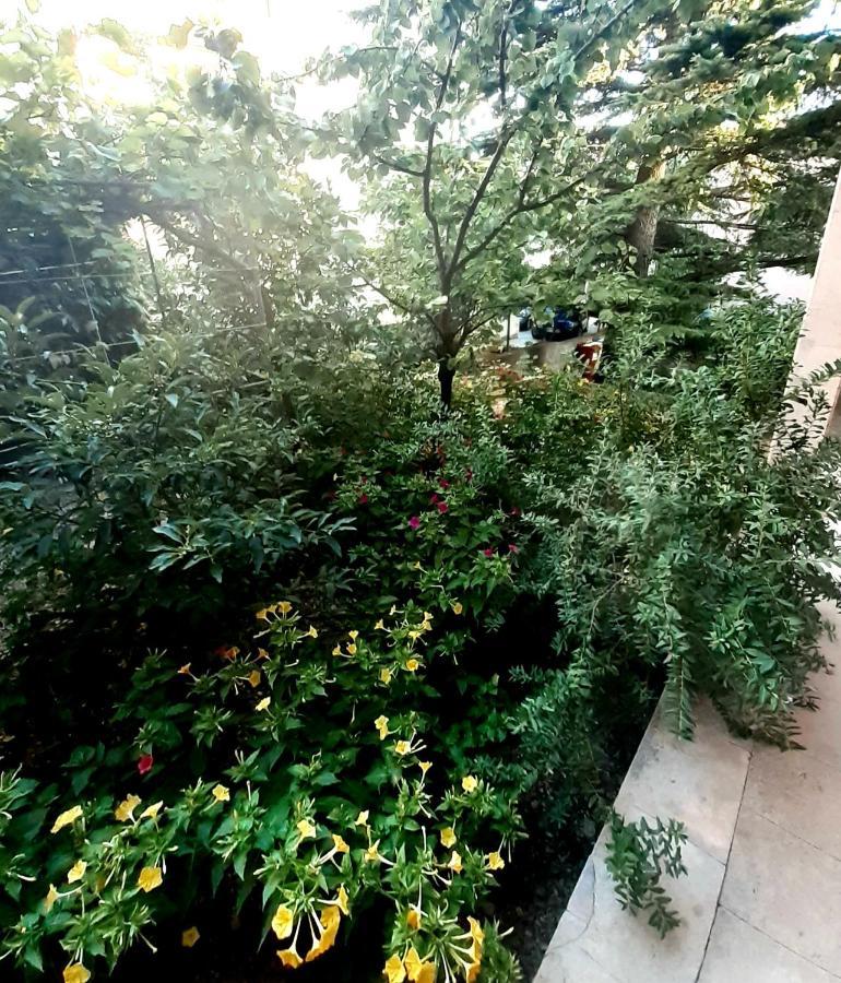 Villa Libe Baška Voda المظهر الخارجي الصورة