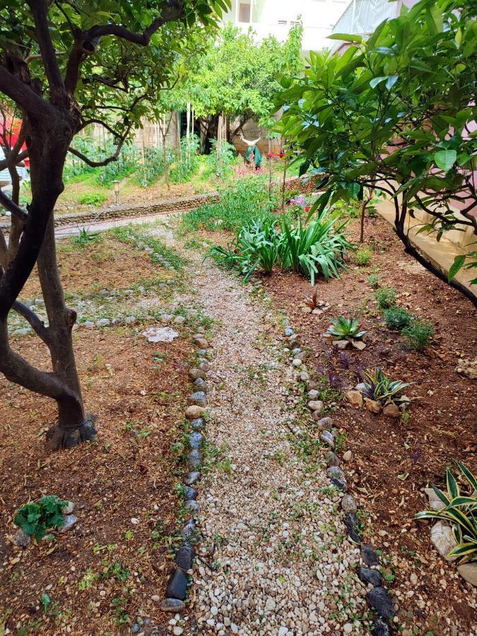 Villa Libe Baška Voda المظهر الخارجي الصورة
