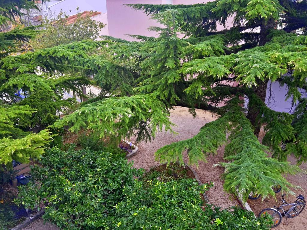 Villa Libe Baška Voda المظهر الخارجي الصورة