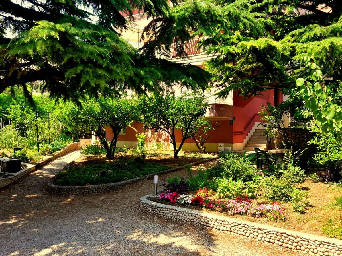 Villa Libe Baška Voda المظهر الخارجي الصورة