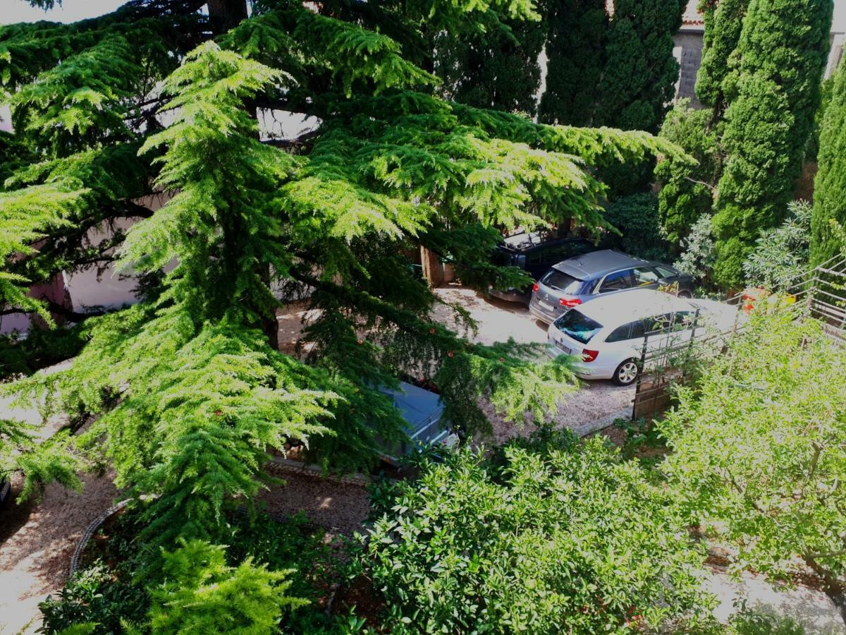 Villa Libe Baška Voda المظهر الخارجي الصورة